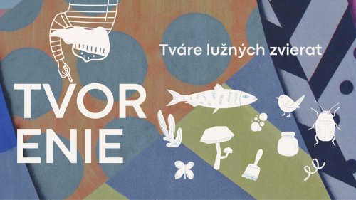 Photo post from kamzajtra.