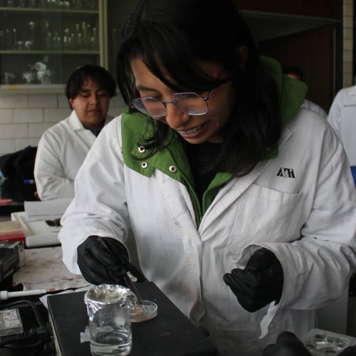 Carousel post from murci_uami.