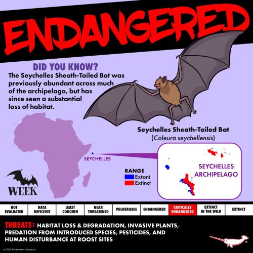 Photo post from peppermintnarwhal.