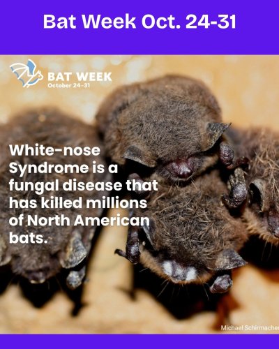 Photo post from maryestherlibrary.