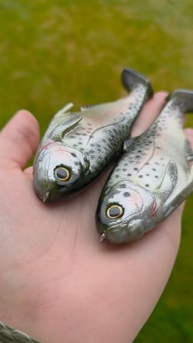 Video post from garrettscustoms.