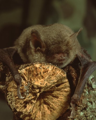 Carousel post from neiwpcc.