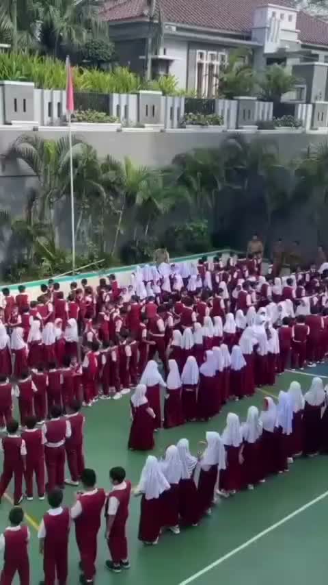 Video post from sditabubakar.