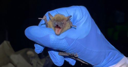 Carousel post from trc_companies.