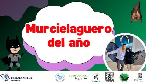 Carousel post from murcisemana_oficial.