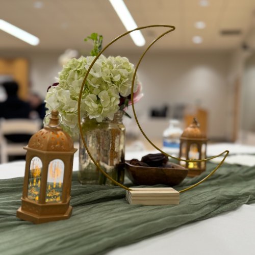 Photo post from saeslions.