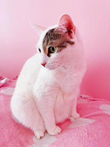 Carousel post from margaritabloom.