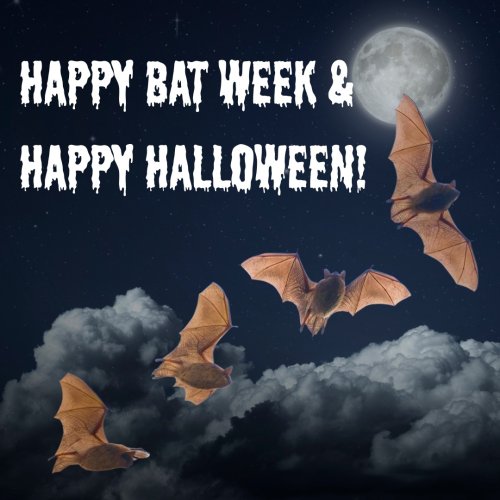 Photo post from trec.pei.