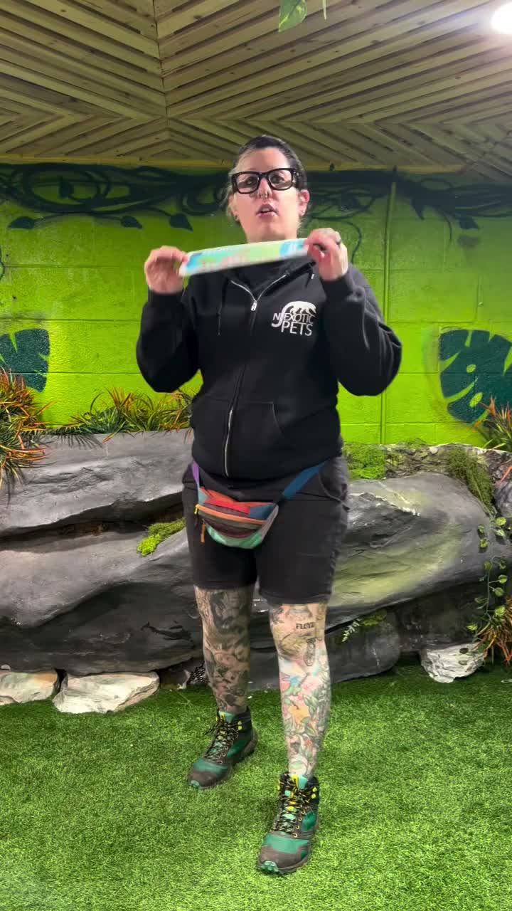 Video post from njexoticpets.