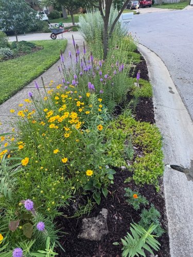 Photo post from franklinpollinator.