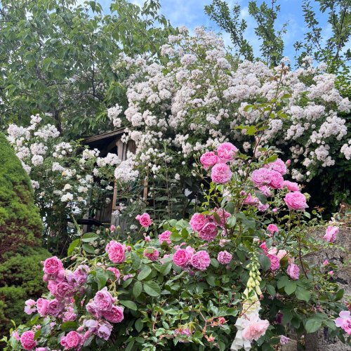 Photo post from gardenhousebrighton.