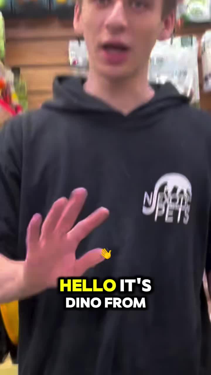 Video post from njexoticpets.