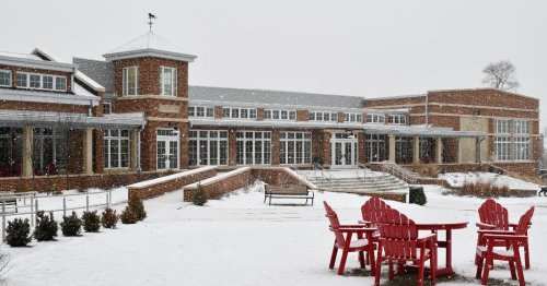 Photo post from saeslions.