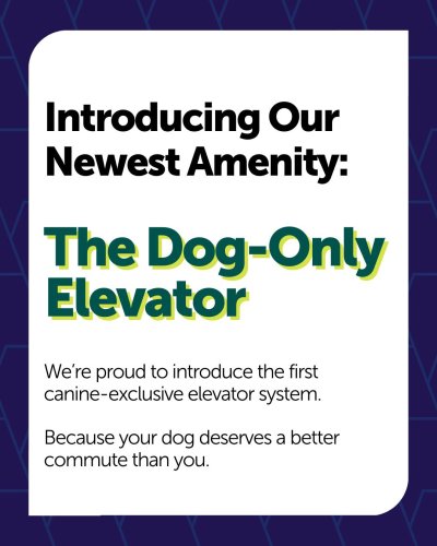 Carousel post from american_re_partners.