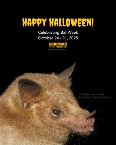 Photo post from pollinatorpartnership.