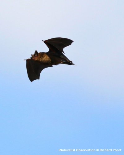 Photo post from hamiltonnature.