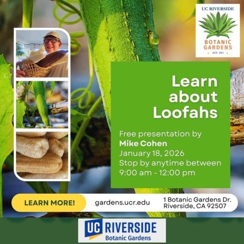 Carousel post from ucrbotanicgardens.