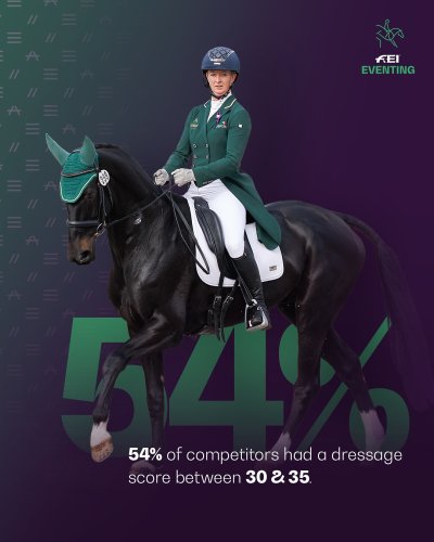 Carousel post from fei_global.