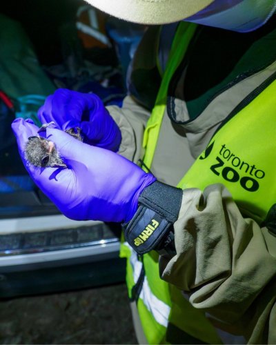 Photo post from tzwconservancy.