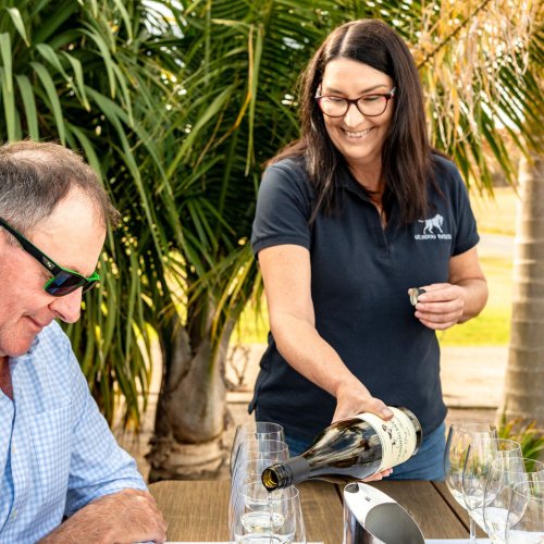 Carousel post from gundogestate.