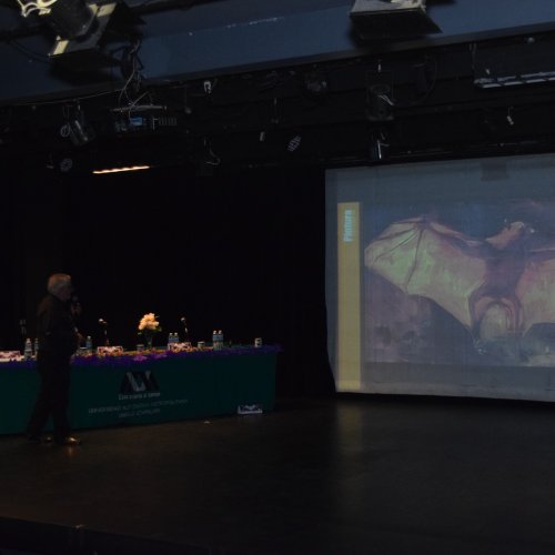 Carousel post from murci_uami.