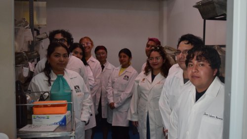 Carousel post from murci_uami.