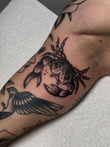 Carousel post from jitanforcier.