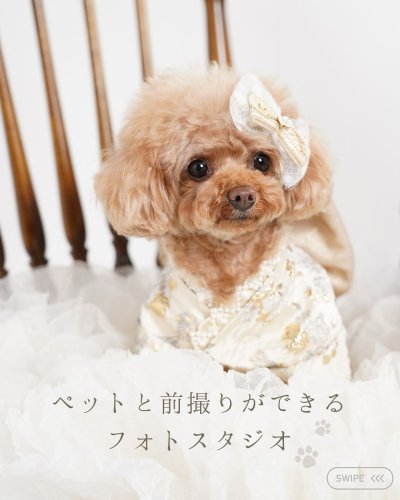 Carousel post from az_hatachi_official.