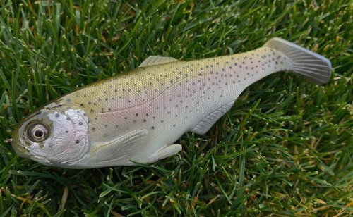 Photo post from garrettscustoms.