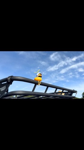 Video post.