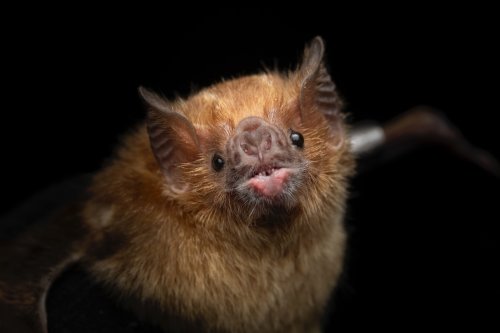 Carousel post from pricelsewell.