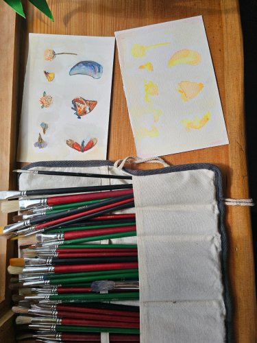 Carousel post from finnriver.