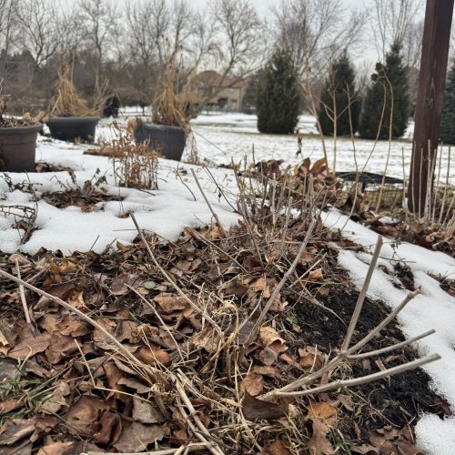 Carousel post from wasconursery.