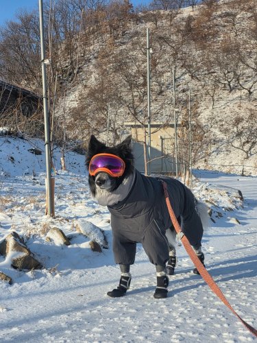 Carousel post from bbo_life_.