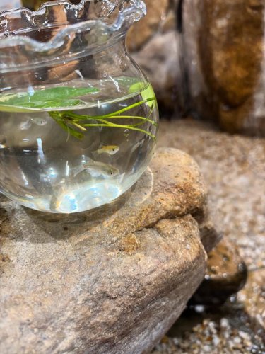 Carousel post from daisenbou.