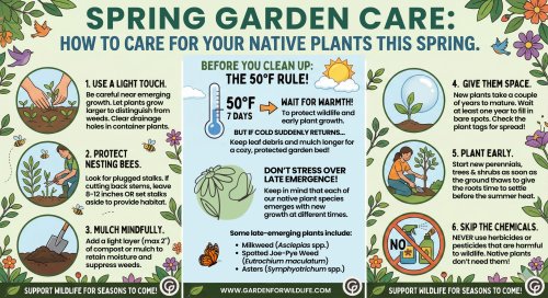 Photo post from gardenforwildlife.