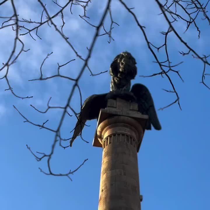 Video post from portorunningtours.