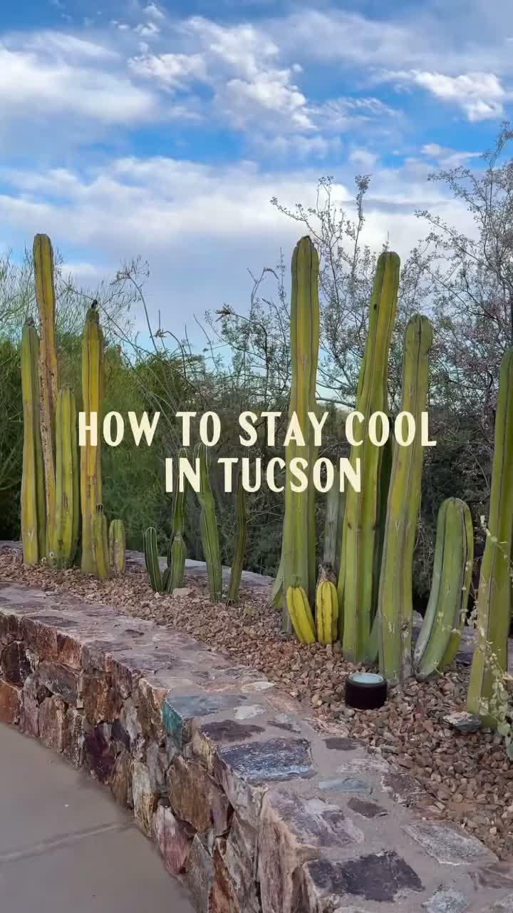 Video post from visittucson.
