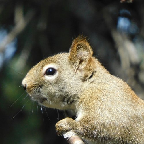 Carousel post from oneyardatatimeyyc.