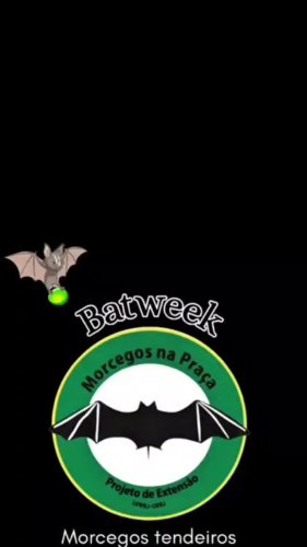 Video post from projetomorcegosnapraca.