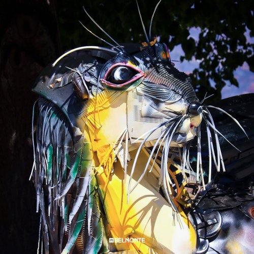 Photo post from visit.belmonte.