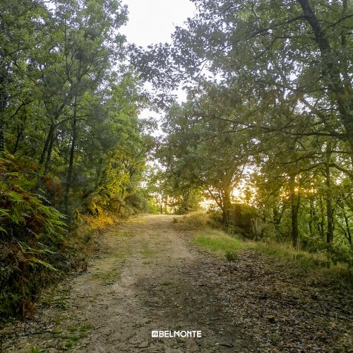 Photo post from visit.belmonte.