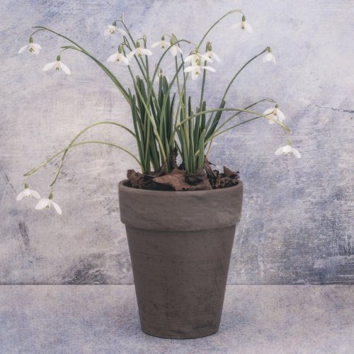 Photo post from angierobpics.