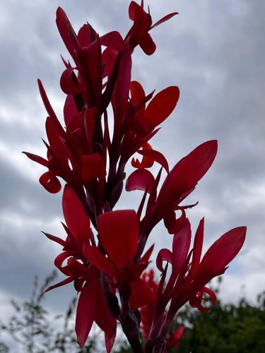 Photo post from gardenhousebrighton.