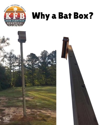 Photo post from wearekfb.