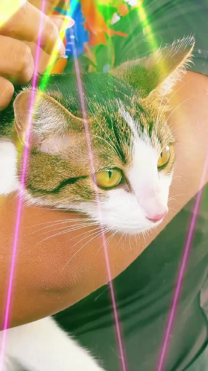 Video post from ananindeuapma.