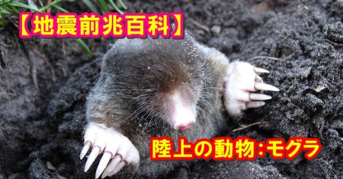Photo post from nmomose.
