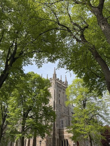 Photo post from bostoncollege.