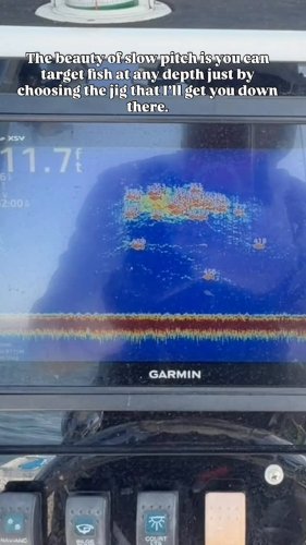 Video post from ejs_fishing_charters.