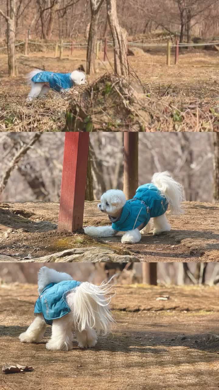 Video post from yomiyeon_.